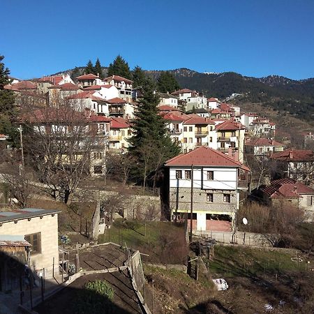 Вилла Balkone In Montagna Мецовон Экстерьер фото